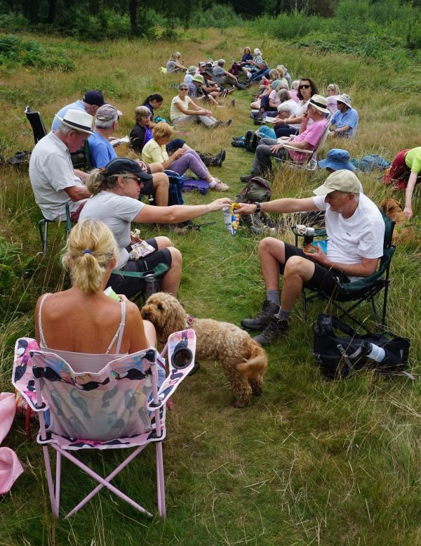 picnic